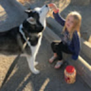 Meet your Posher, Allie